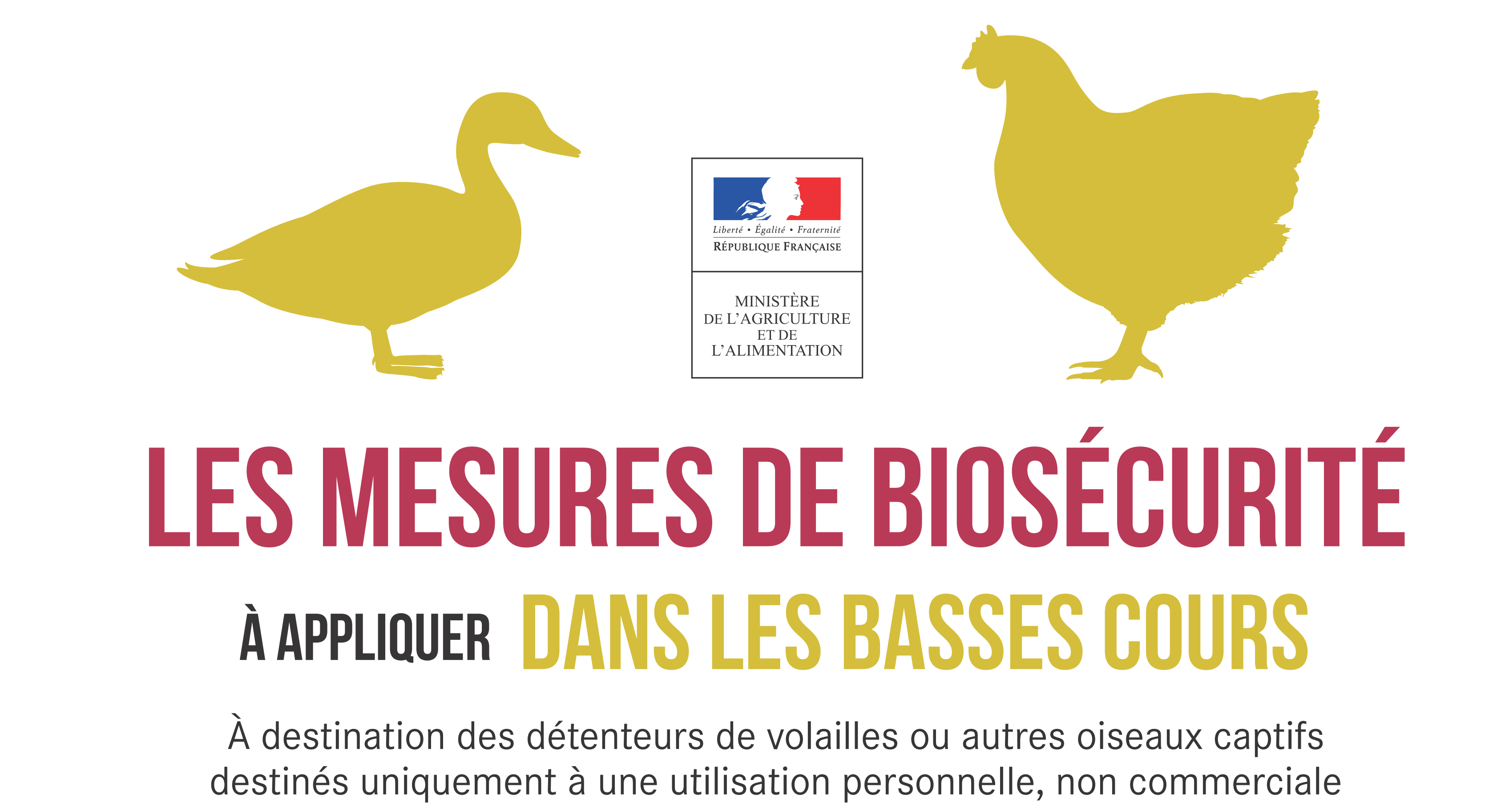 You are currently viewing Grippe Aviaire – Mesures de sécurité