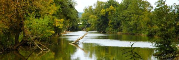 Lire la suite à propos de l’article Participez au projet du Programme d’Actions de Prévention d’Inondations (PAPI) Madon !