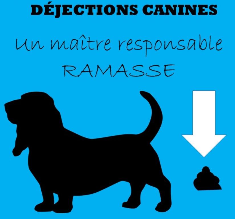You are currently viewing Les déjections canines… un peu de civisme !