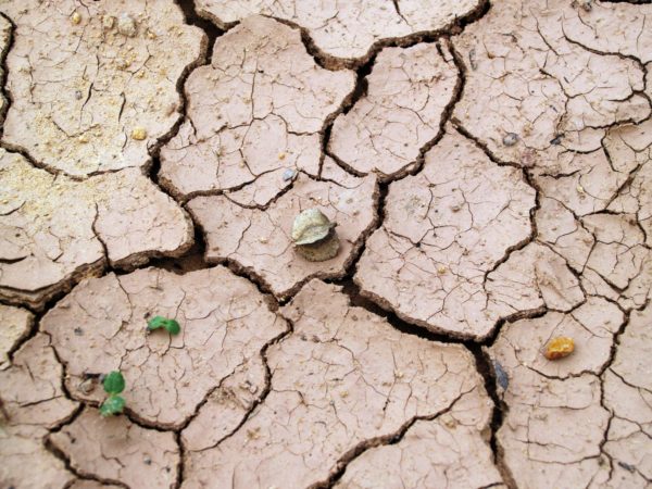 Lire la suite à propos de l’article Arrêté ministériel portant reconnaissance de l’état de catastrophe naturelle !