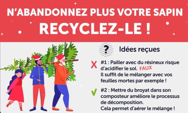 Lire la suite à propos de l’article Donnez une seconde vie à votre sapin !