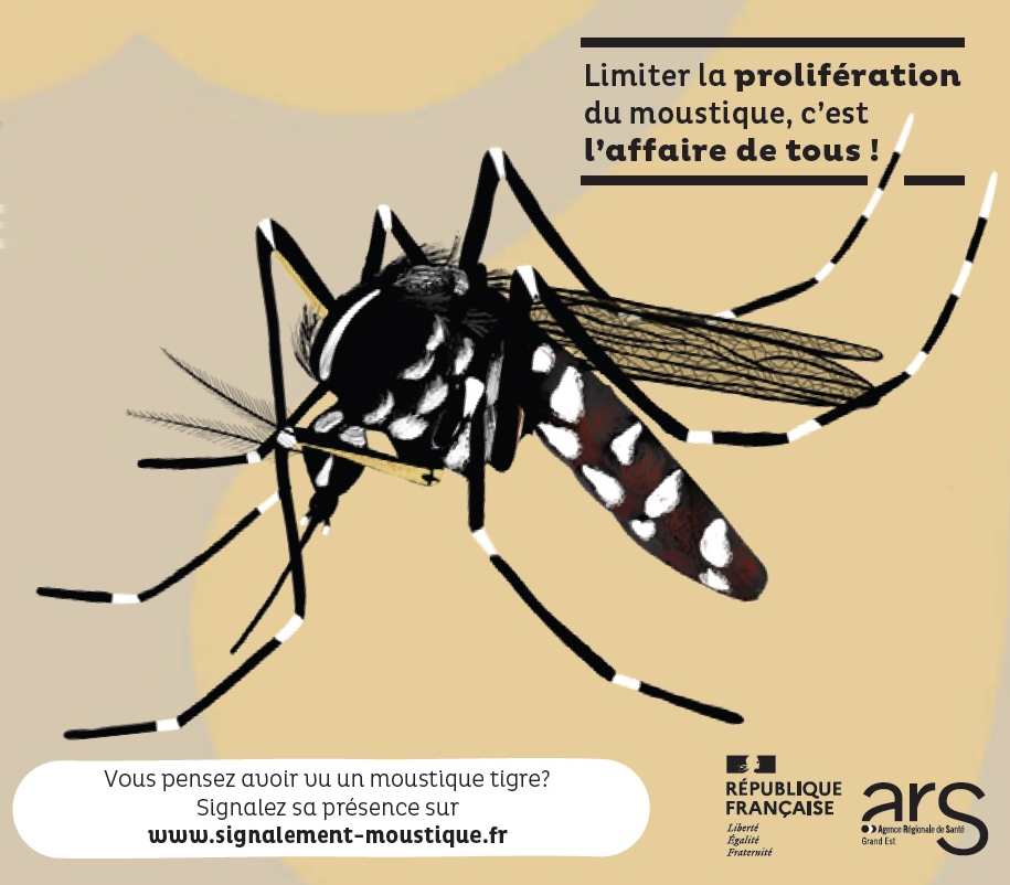 You are currently viewing Participation à la surveillance du moustique tigre !