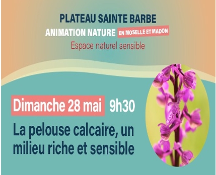 Lire la suite à propos de l’article Animation nature sur le plateau Ste Barbe