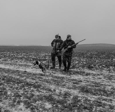 Lire la suite à propos de l’article Calendrier de chasse 2023-24