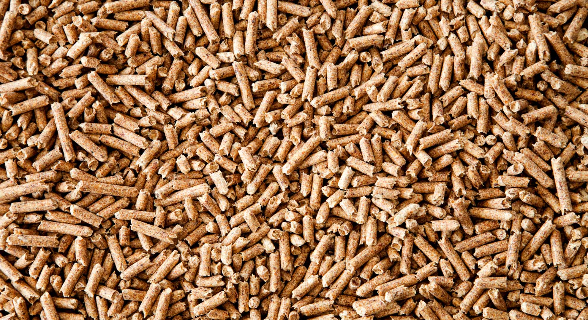 Lire la suite à propos de l’article Commande groupée de pellets (Bois d’Or)