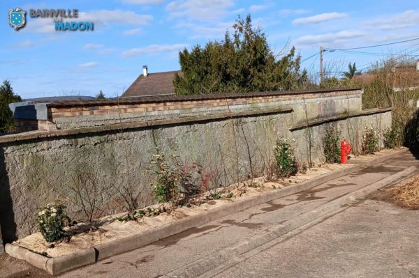 Lire la suite à propos de l’article Retrait des vieux tuyas et végétalisation du cimetière