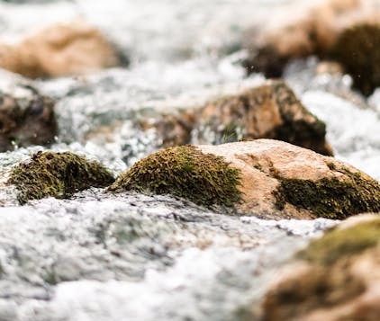 You are currently viewing Arrêté préfectoral concernant l&rsquo;autorisation de pénétrer dans des propriétés privées en raison de la politique de gestion de l&rsquo;eau et des milieux aquatiques de l&rsquo;EPTB Meurthe Madon