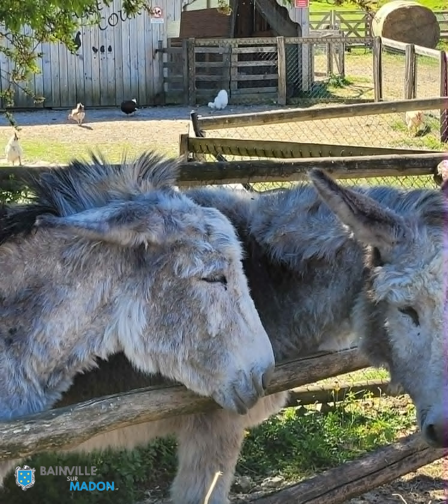 Lire la suite à propos de l’article Les enfants du périscolaire à la ferme !