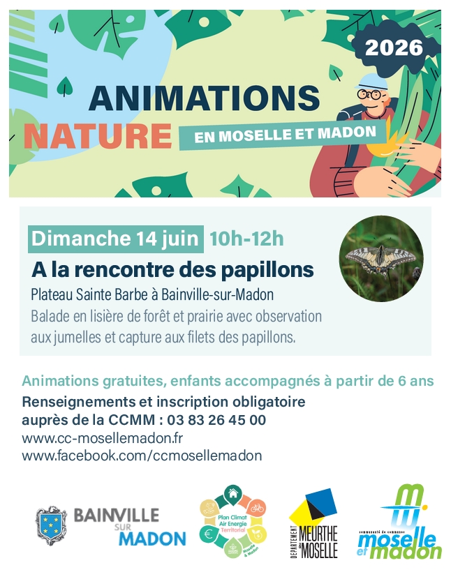 You are currently viewing A la rencontre des papillons – Plateau Ste Barbe (14 juin 2026)
