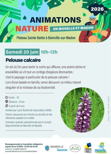 Lire la suite à propos de l’article Sortie Nature au plateau Sainte-Barbe de Bainville (20 juin 2026)