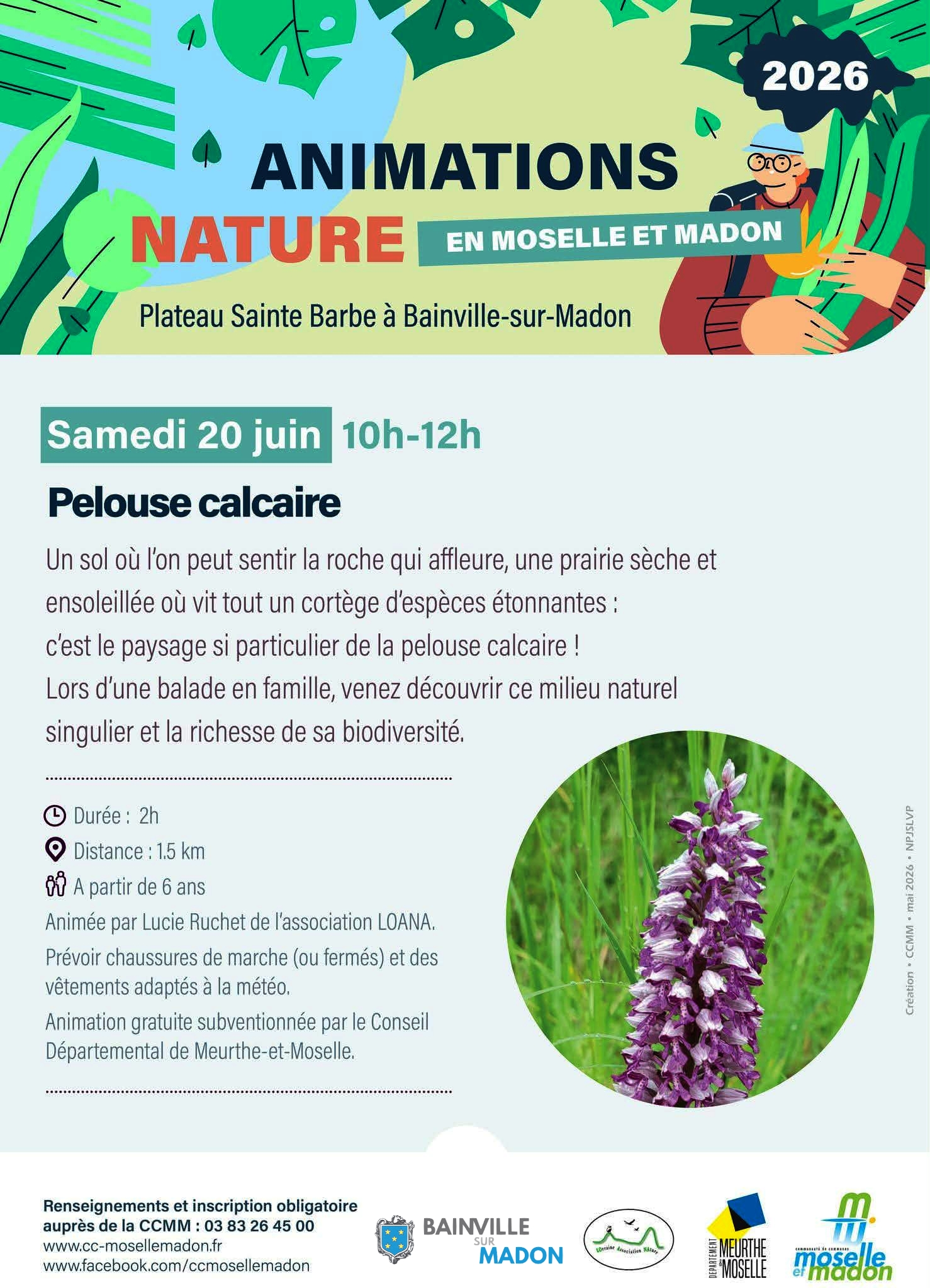 You are currently viewing Sortie Nature au plateau Sainte-Barbe de Bainville (20 juin 2026)