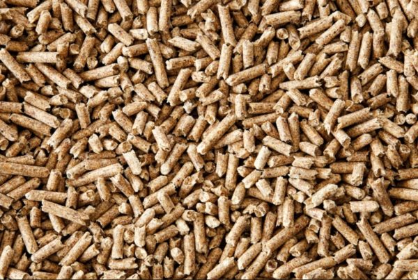 Lire la suite à propos de l’article Commande groupée de pellets !